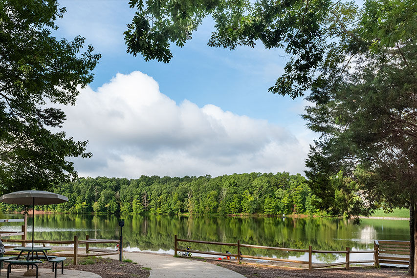 Outdoor fun at many parks and greenways nearby